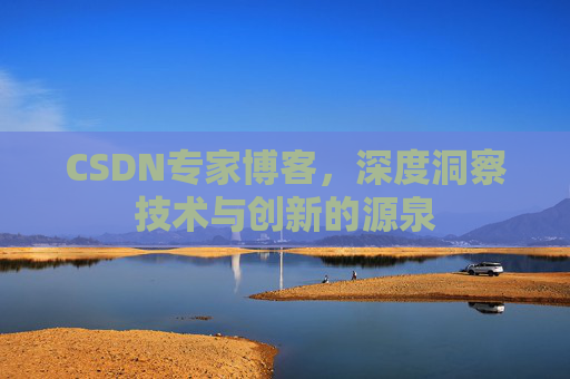CSDN专家博客，深度洞察技术与创新的源泉